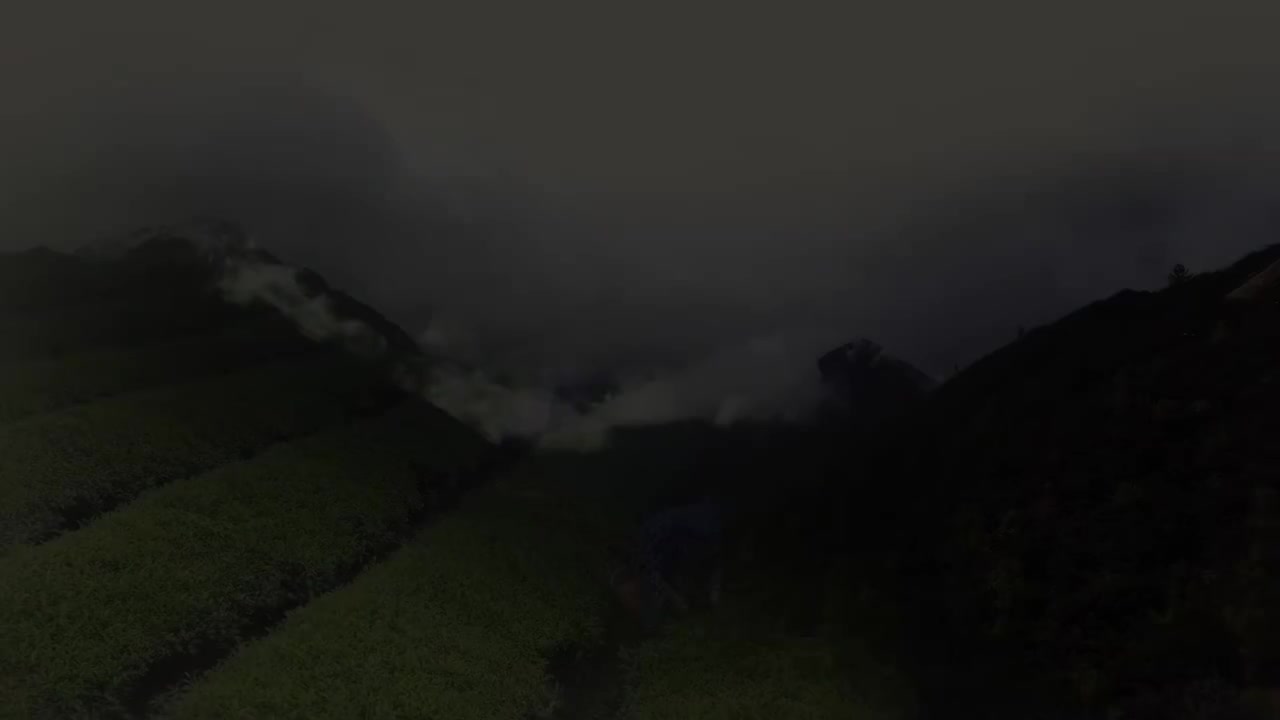 万象中国第13集：美味的药——都说良药苦口，中国人如何把它们变为可口的美食？ 1080P(高清SDR)(8077041)