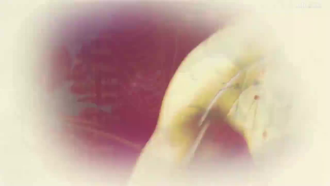 [7.7]--痛经的针灸治疗