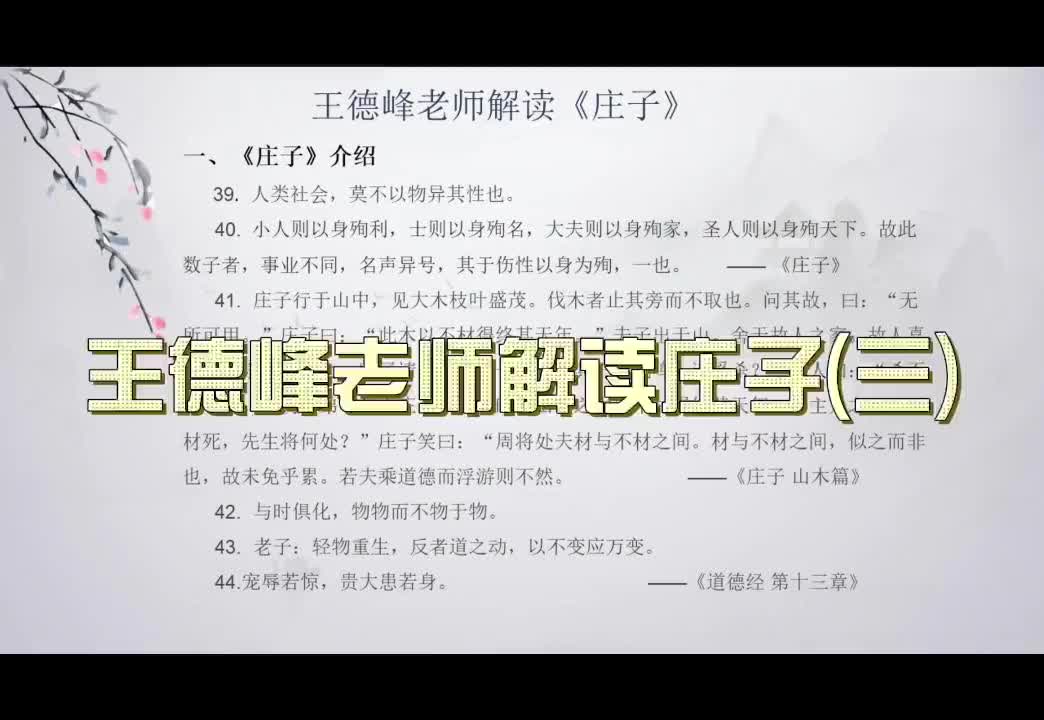 P3王德峰老师解读《庄子》1080P 高清（字幕版）