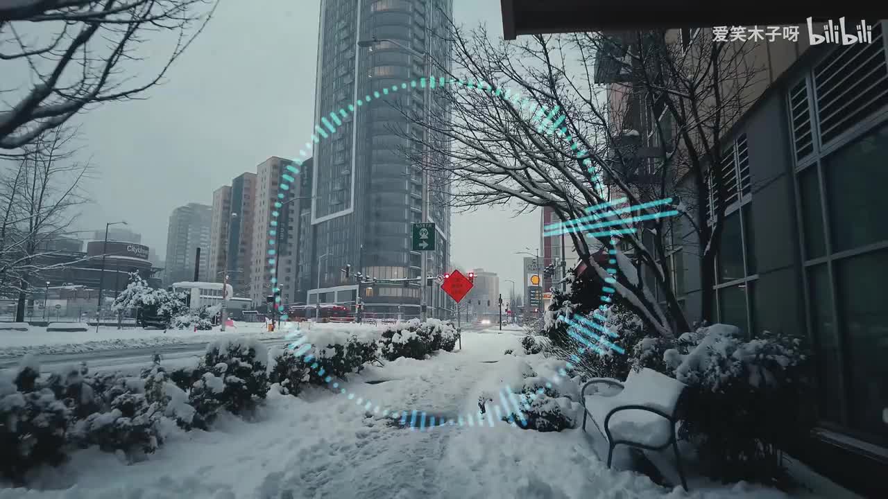 枫叶做的风铃-方大同