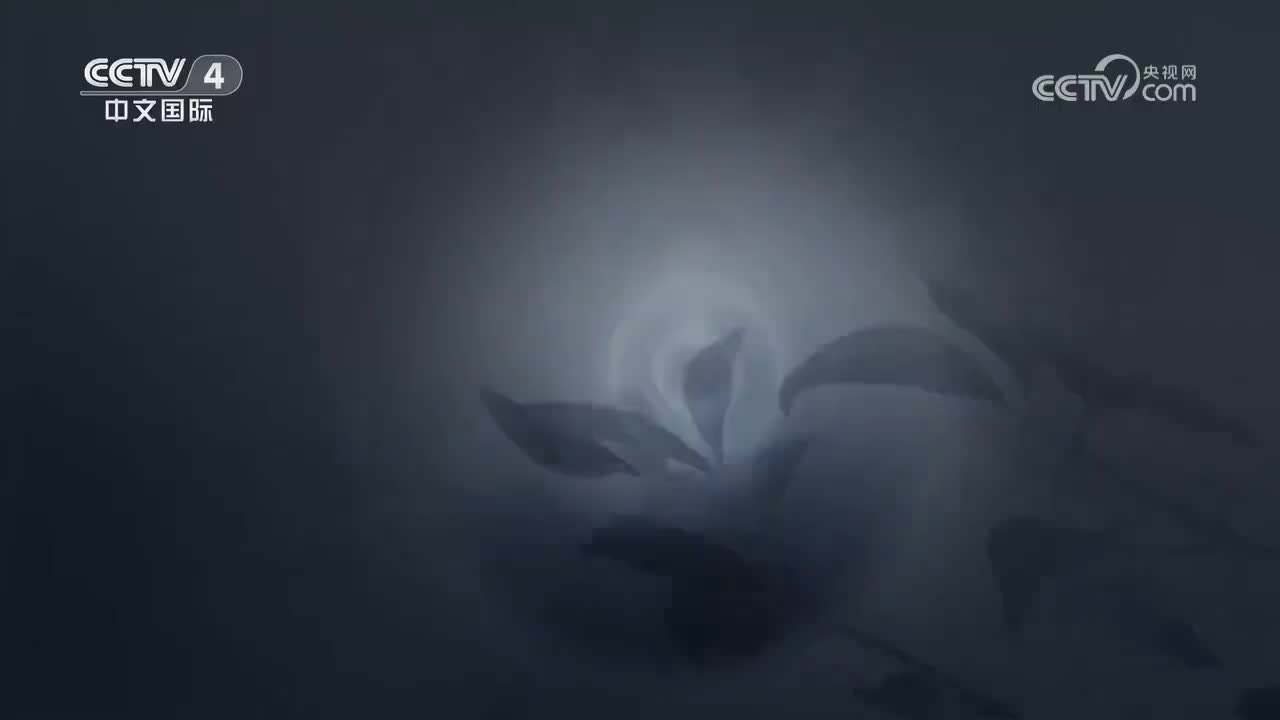 第1集 长路远方