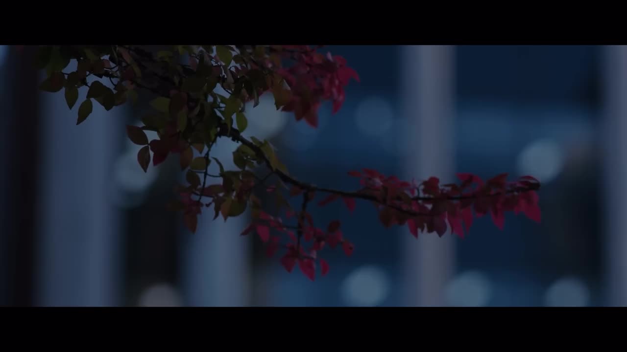 【瑞士轮DAY1】开幕宣传片