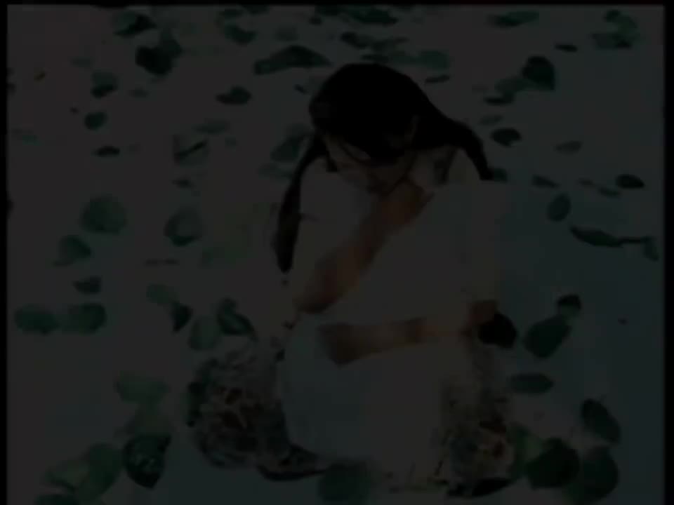 枕着你的名字入眠