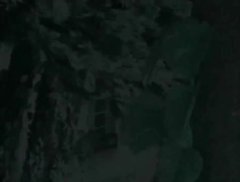 爱我的人和我爱的人