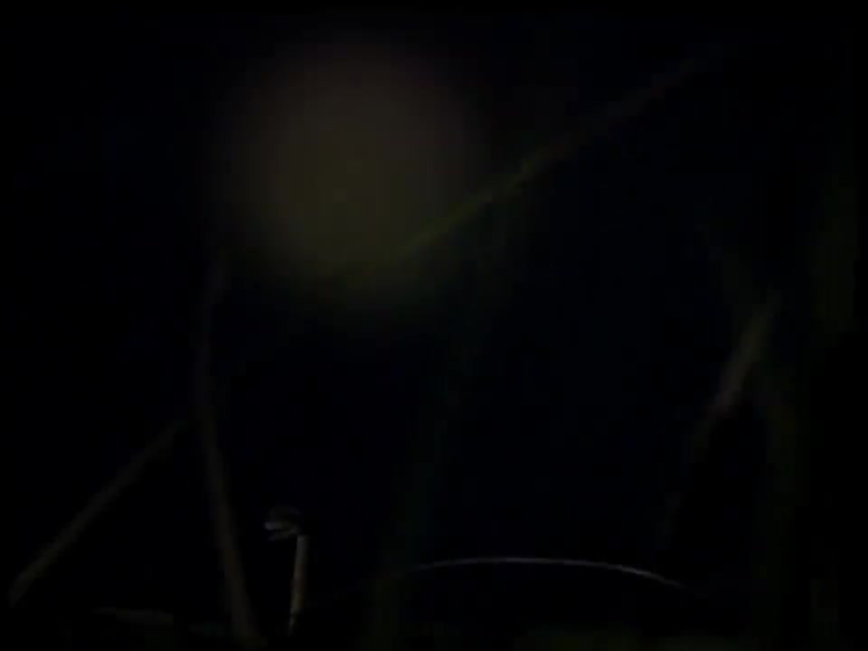 女人何苦为难女人