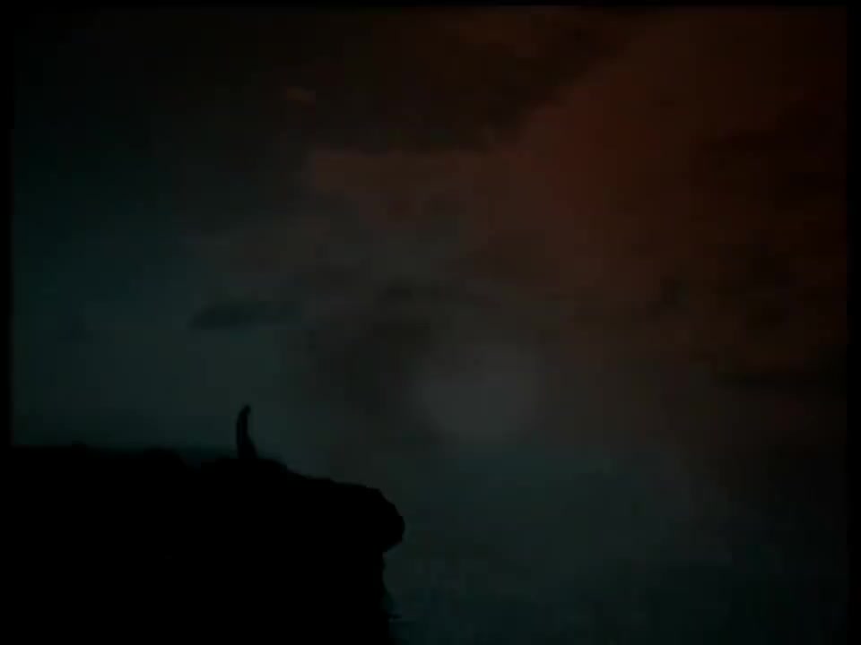 原来你什么都不要