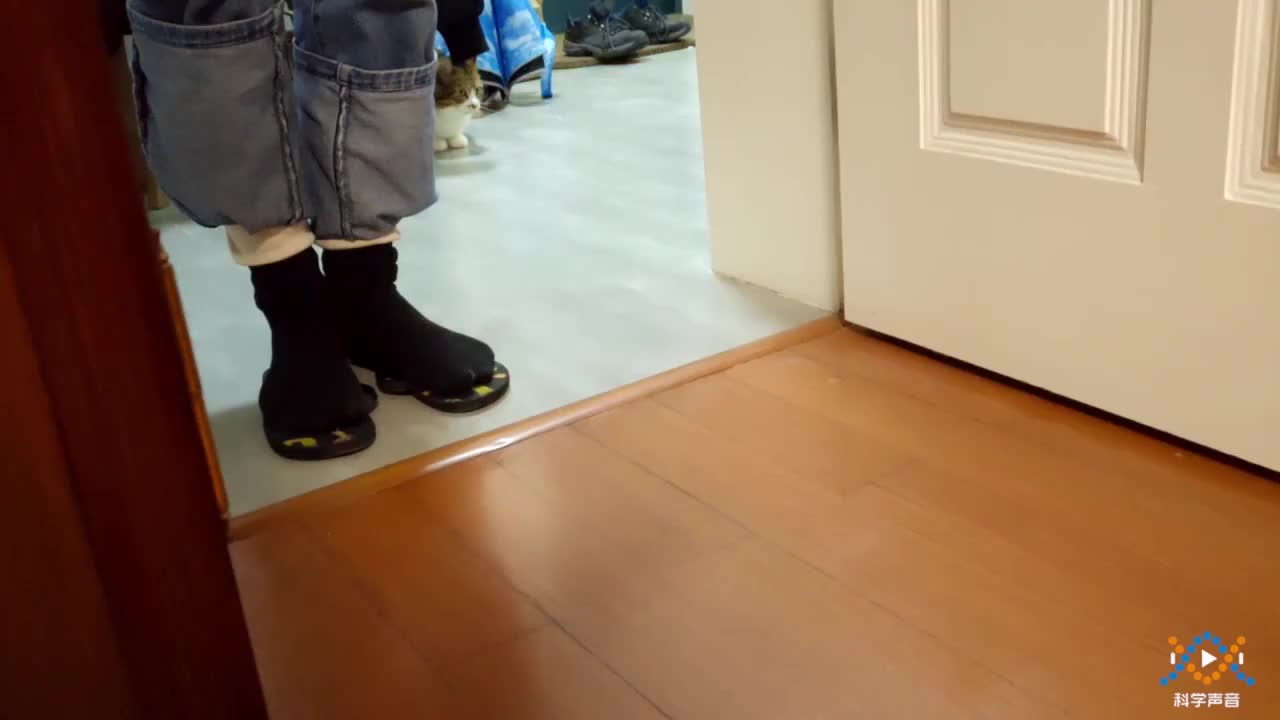 (07)教科版一上二单元2-3-2用脚测量房间的长度