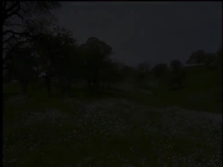 再会啦心爱的无缘的人