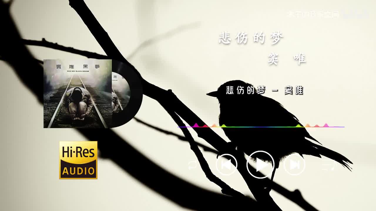 【窦唯】 悲伤的梦