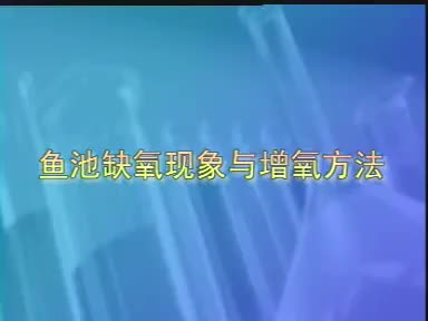 60-实验鱼池缺氧现象与增氧方法