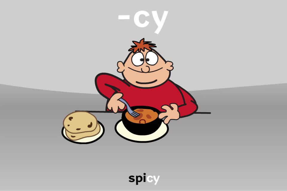 【常见后缀07】-cy