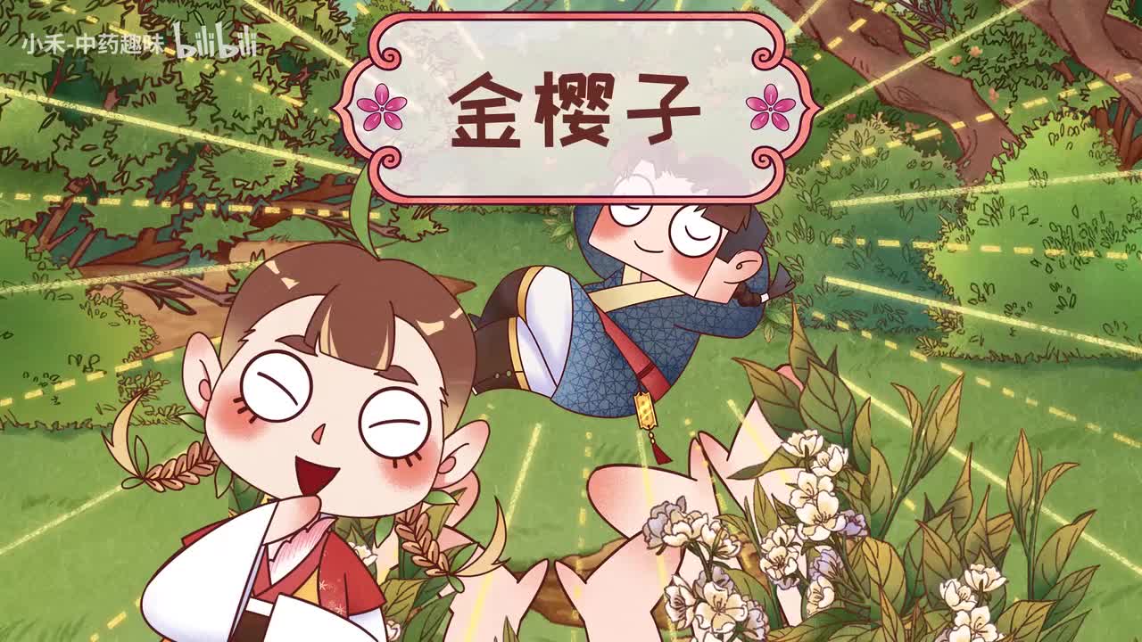 S02E11 金樱子