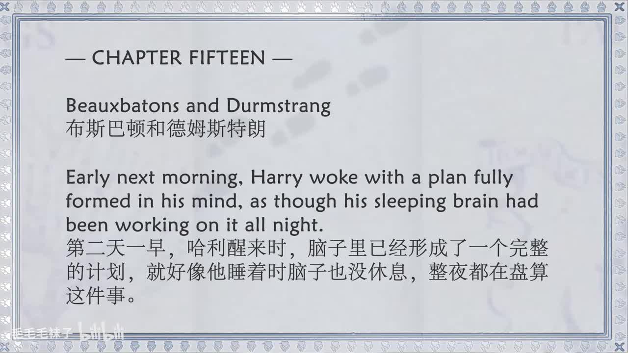 15 Beauxbatons and Durmstrang