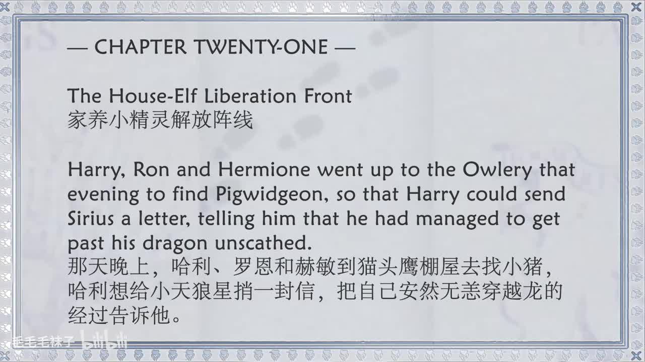 21 The House-Elf Liberation Front