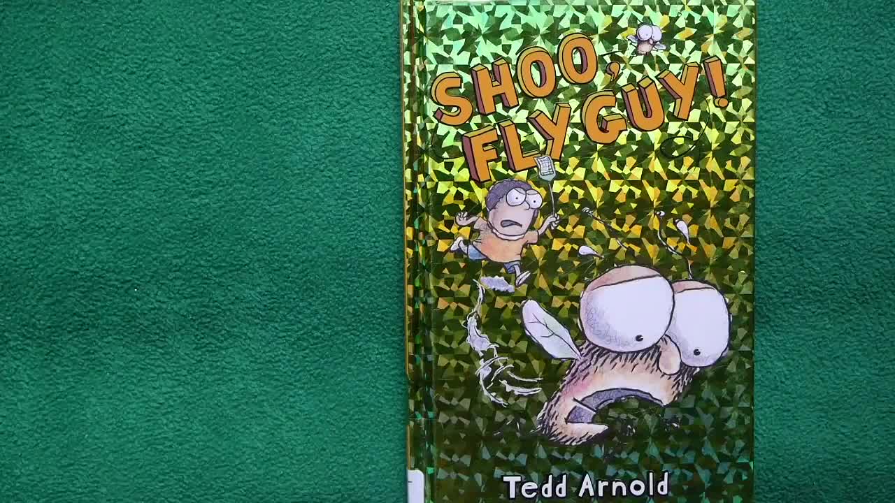 Fly guy 苍蝇小子【03】Shoo, Fly Guy 外教精讲