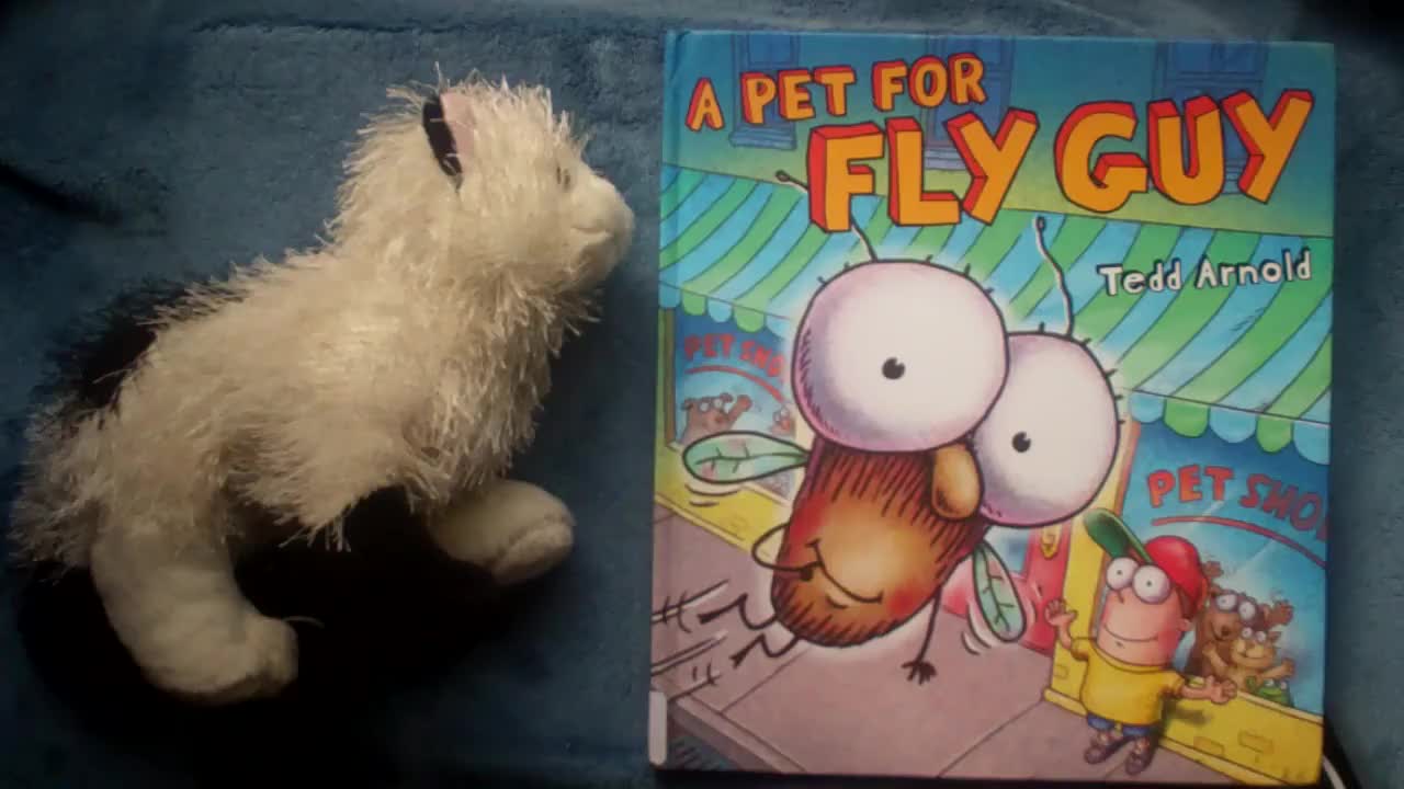 Fly guy 苍蝇小子【16】A Pet for Fly Guy 外教精讲