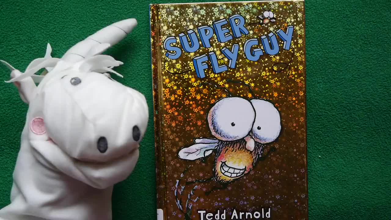 Fly guy 苍蝇小子【02】Super Fly Guy 外教精讲