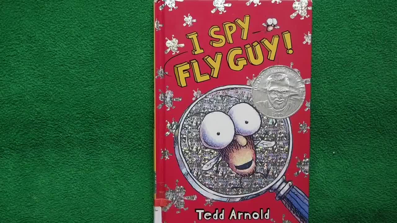 Fly guy 苍蝇小子【07】I Spy Fly Guy 外教精讲
