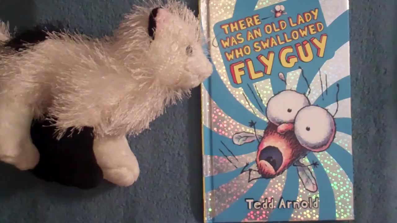 Fly guy 苍蝇小子【04】There Was an Old Lady Who Swallowed a Fly Guy 外教精讲