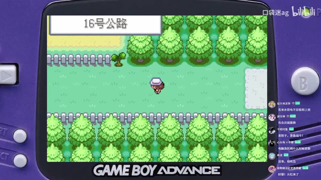 浅红市-狩猎地带