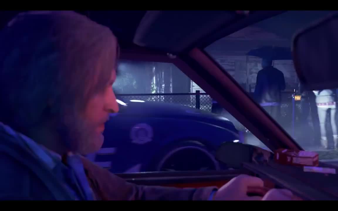 6.搭档-猫猫探头