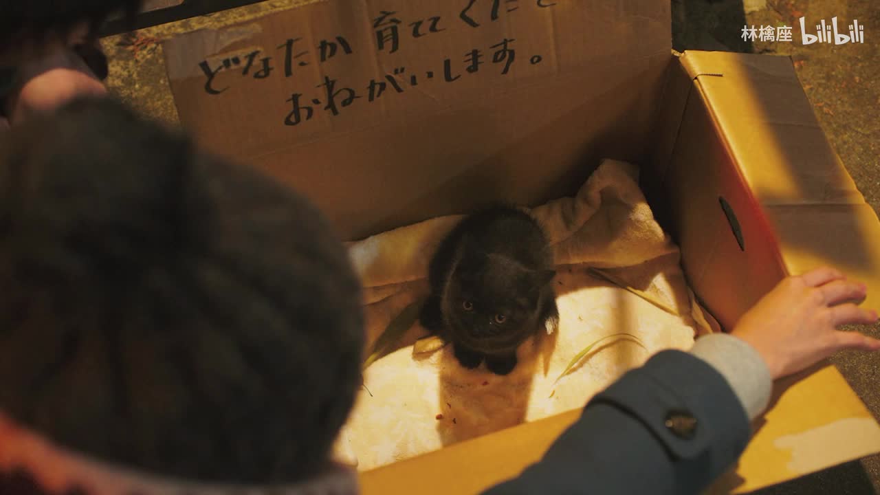 大友良英 - 花束みたいな恋を 2