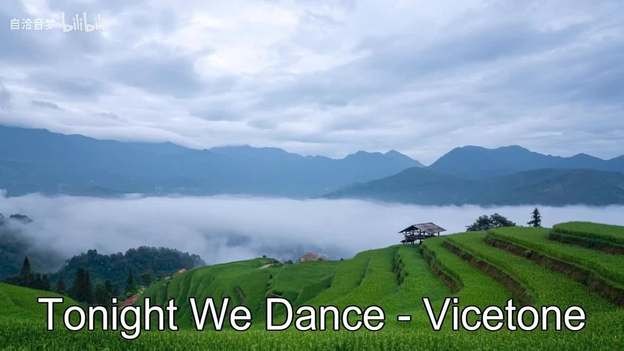 Vicetone_Tonight We Dance