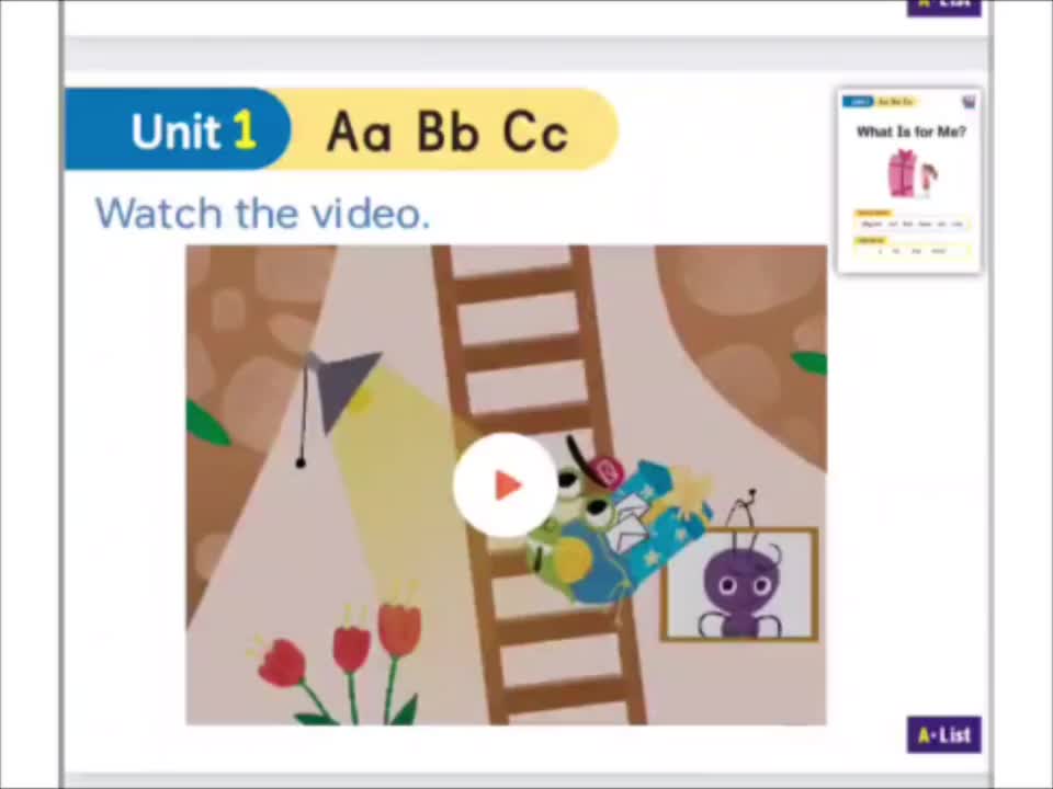 An alligator is for the ant