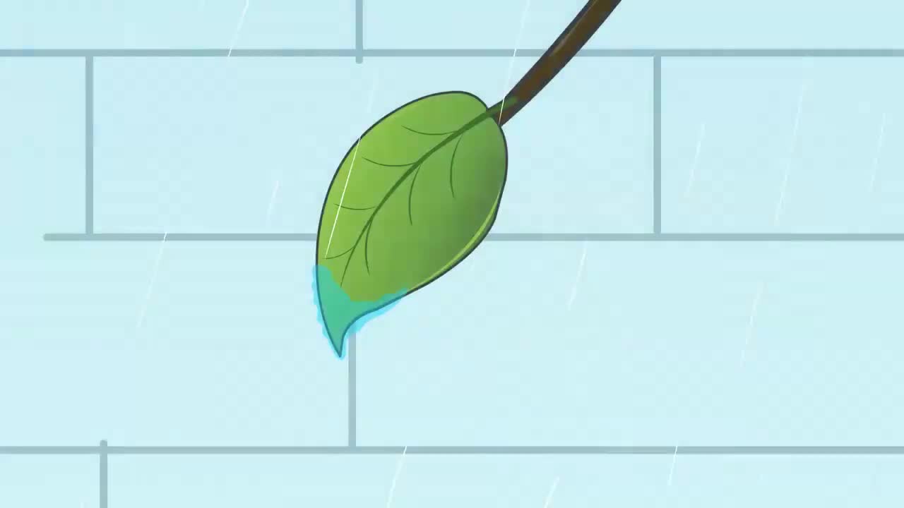 36、第三十六讲_认识条形统计图