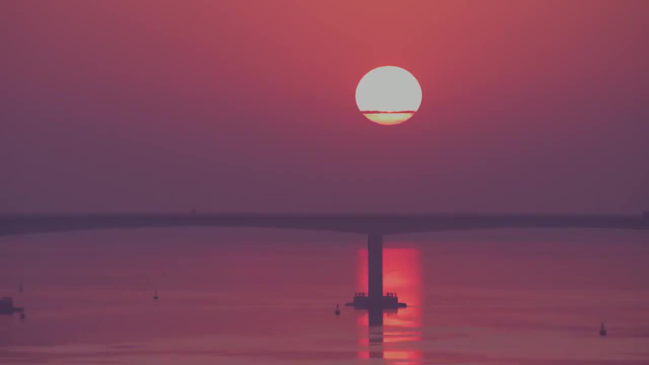 57、长江三角洲 太平洋西岸最大的候鸟停歇地