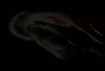 我的名字是彼特