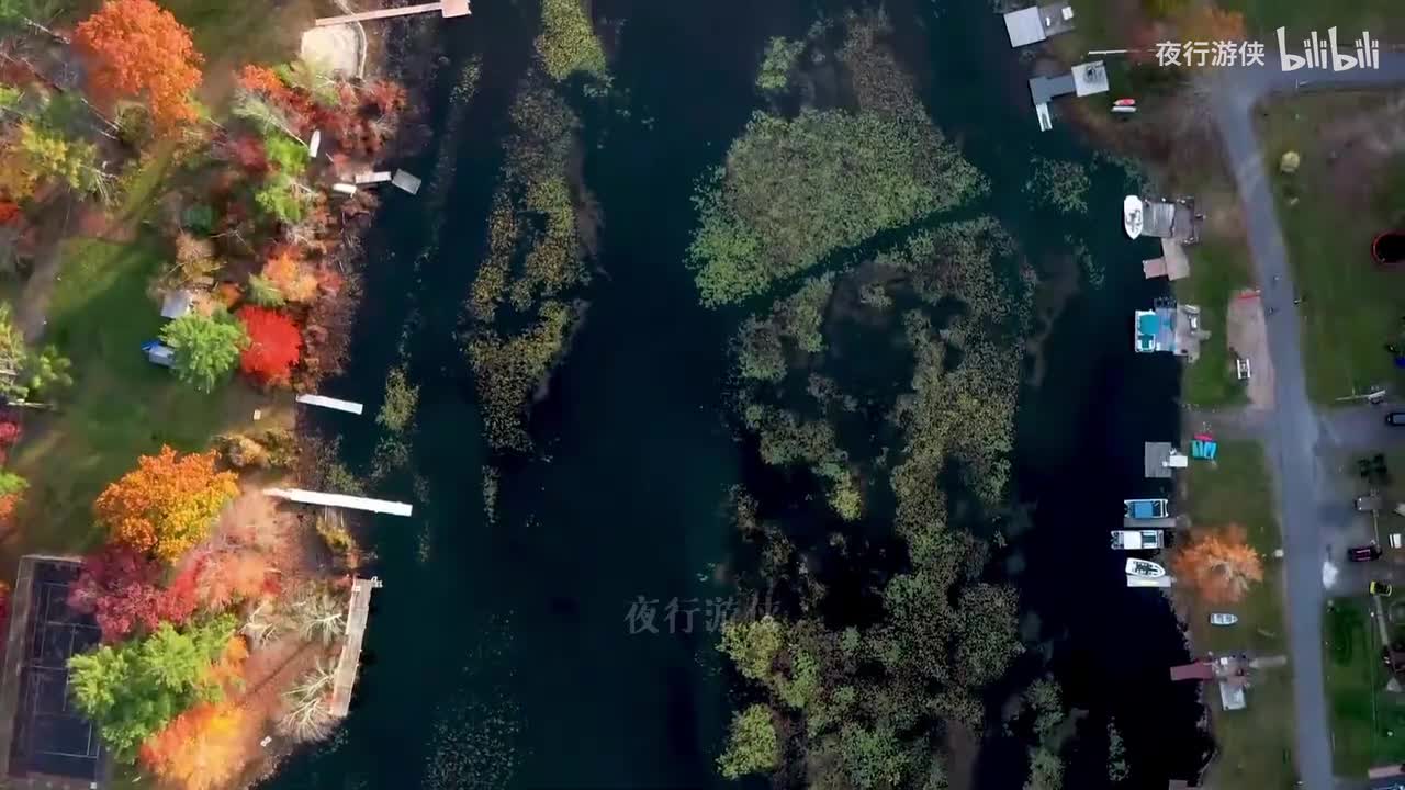 最远的你是我最近的爱 - 花姐