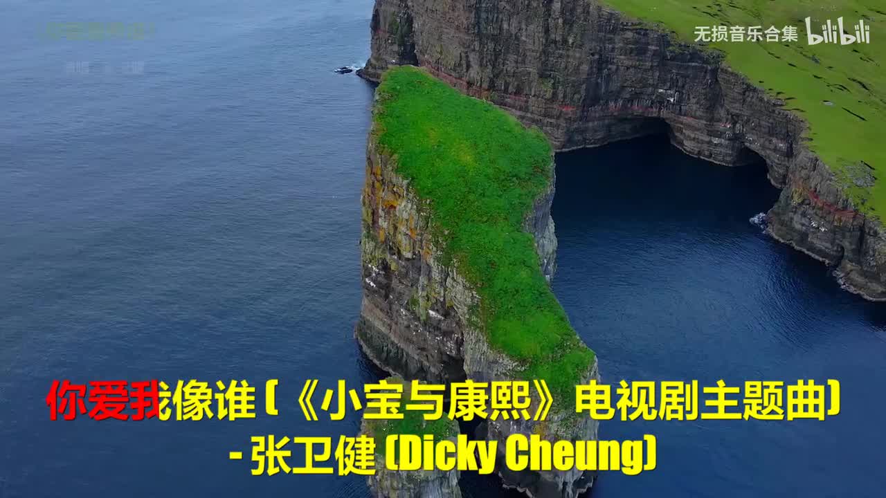 018. 张卫健 - 你爱我像谁