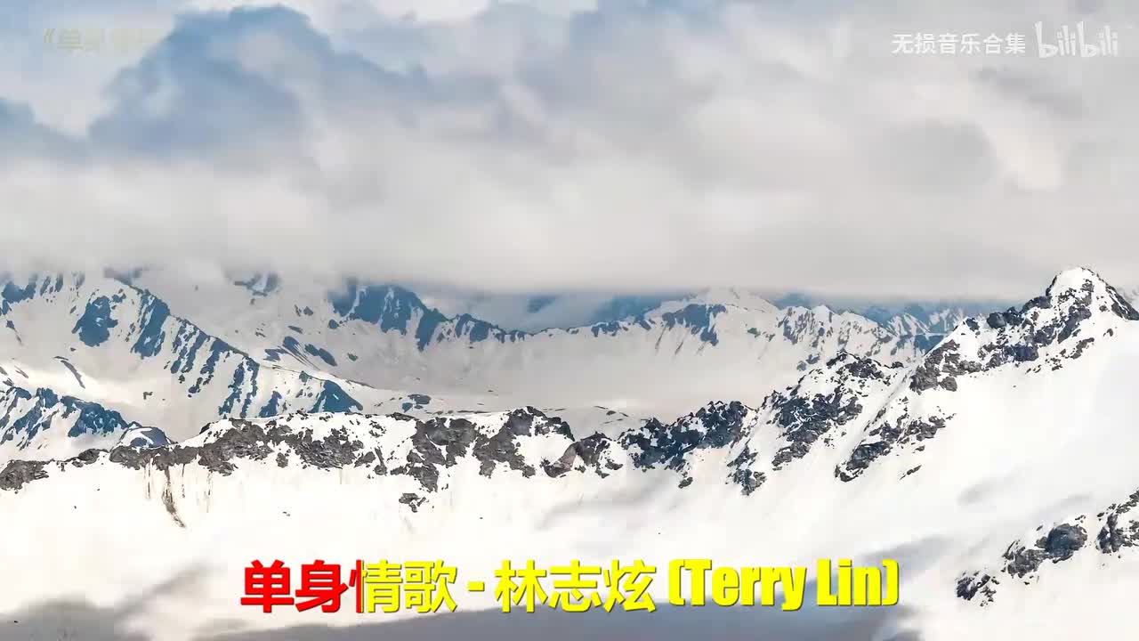 011. 林志炫 - 单身情歌