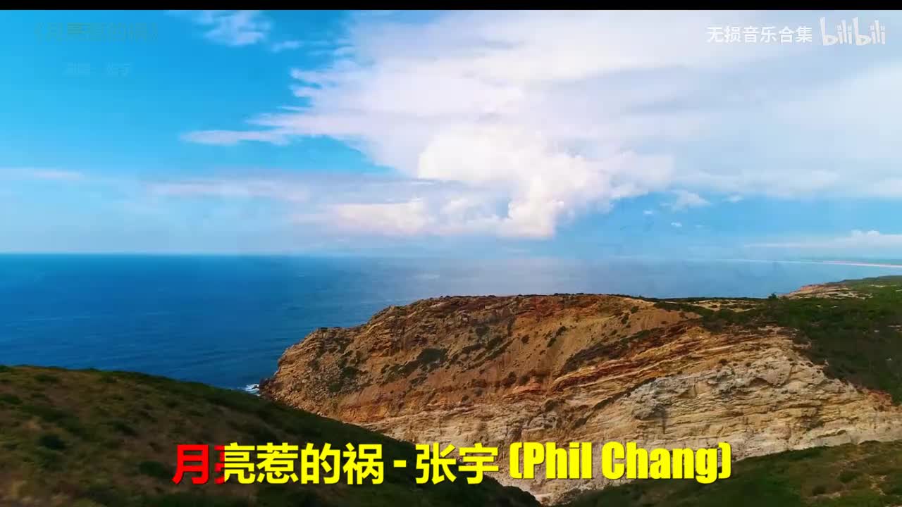 055. 张宇 - 月亮惹的祸