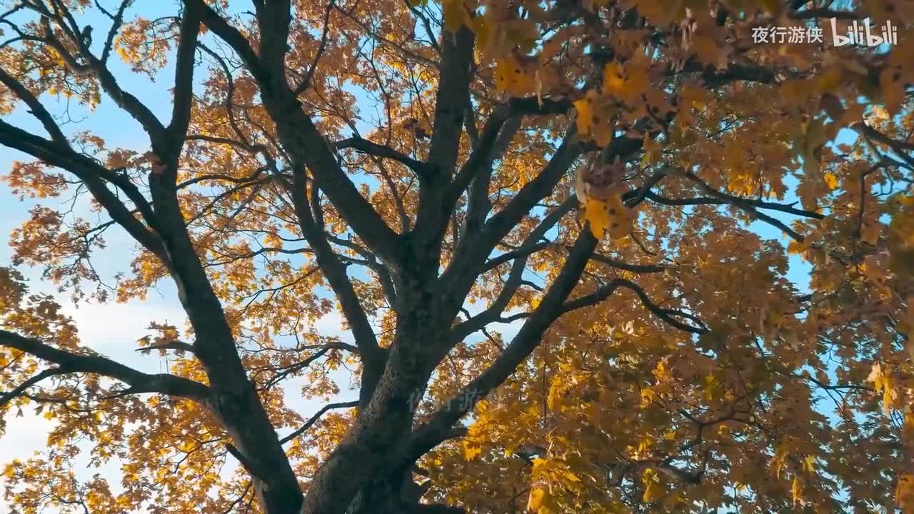 别怕我伤心 - 张肯肯