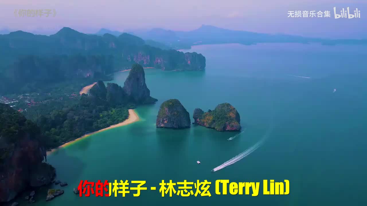 052. 林志炫 - 你的样子