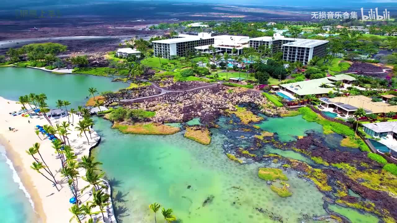 049. 汤潮 - 狼爱上羊