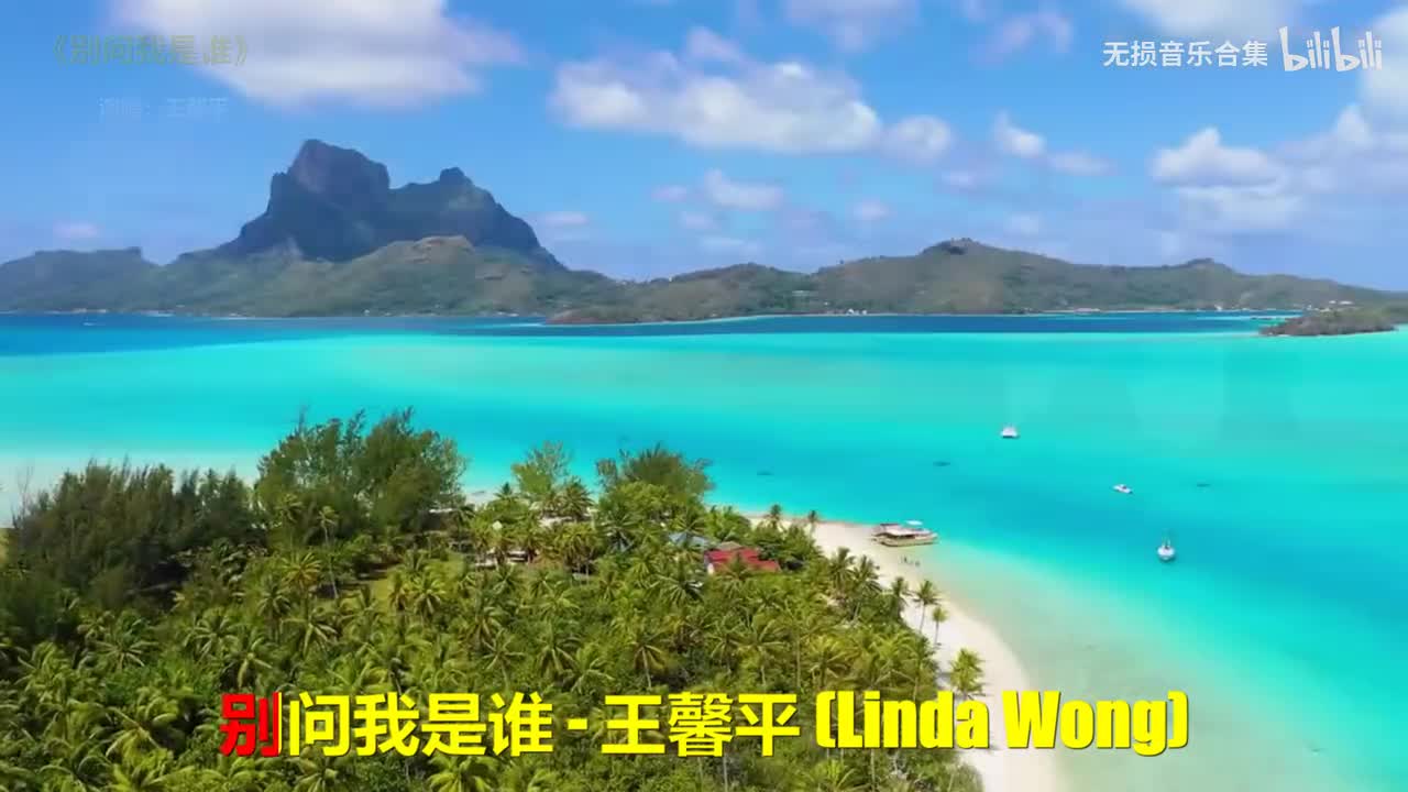 038. 王馨平 - 别问我是谁