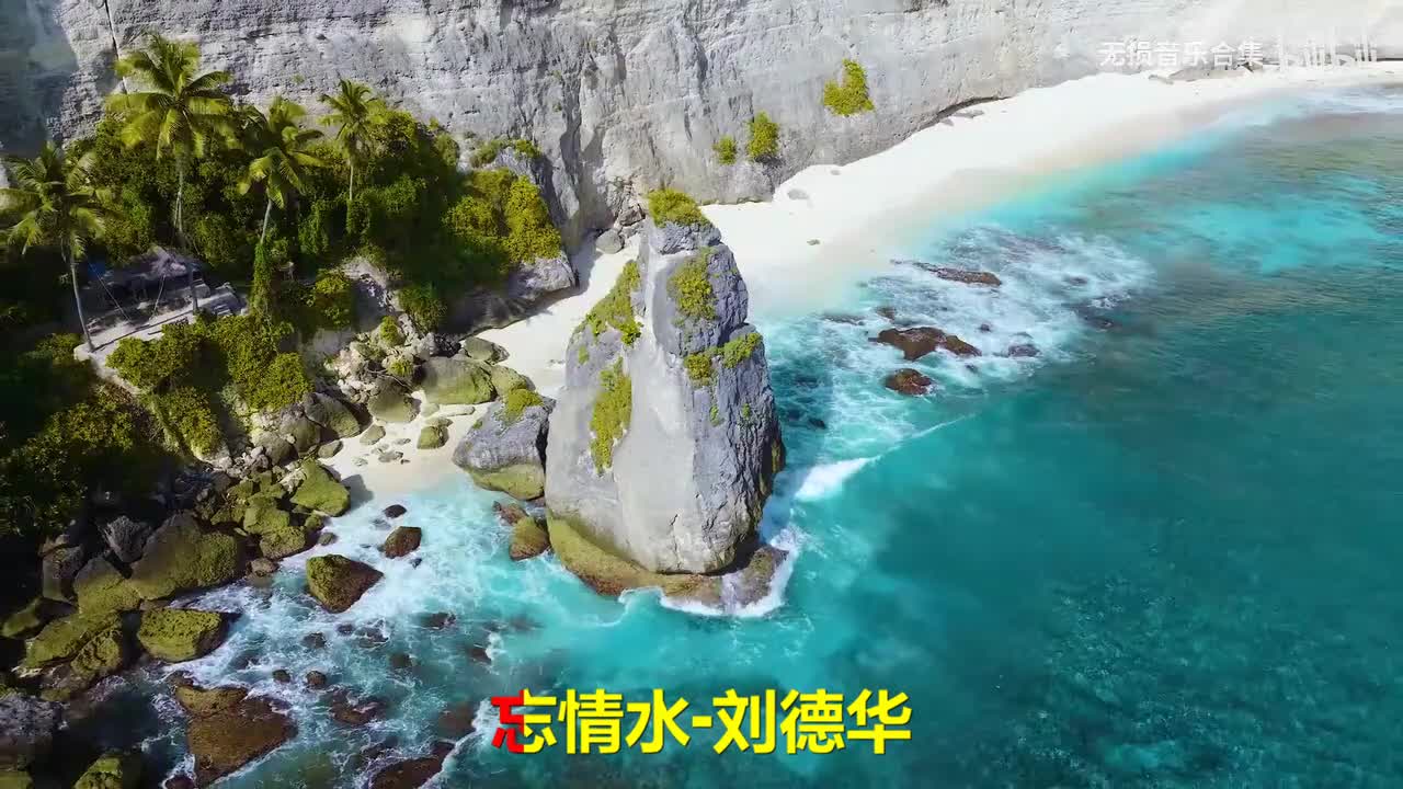 012. 刘德华 - 忘情水
