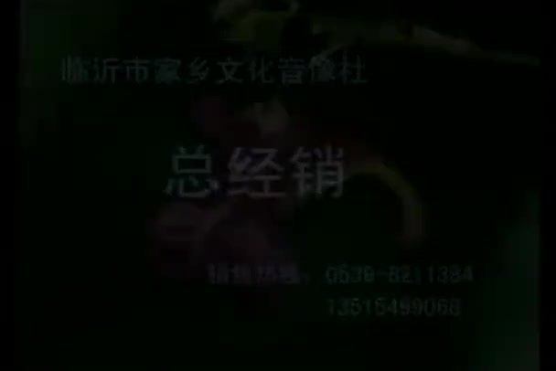 山东地方戏曲柳琴戏《生死鸳鸯画扇面》_高清