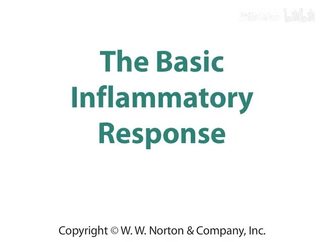 The Basic Inflammatory Response