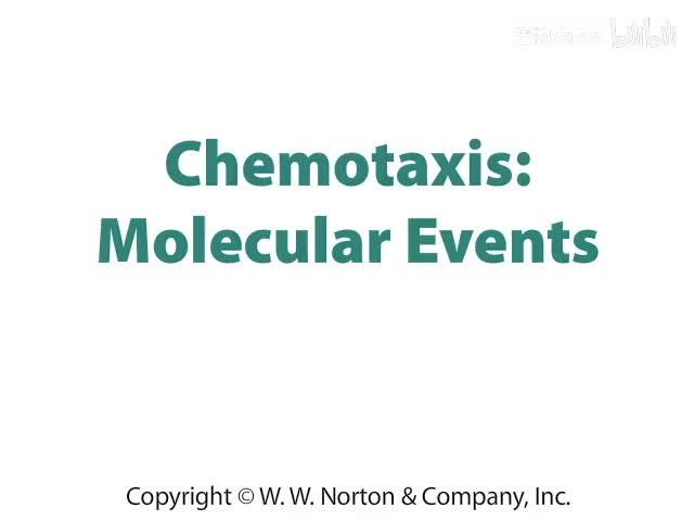 Chemotaxis- Molecular Events