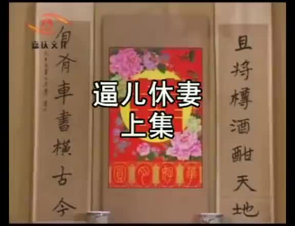 安徽地方戏曲黄梅戏《逼儿休妻》全剧_高清