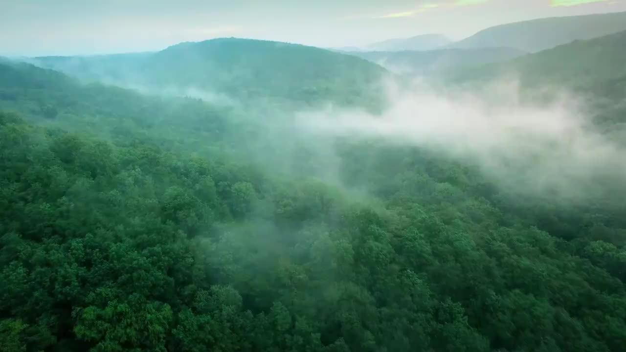 华为 P9 玛瑙红 & 托帕蓝广告