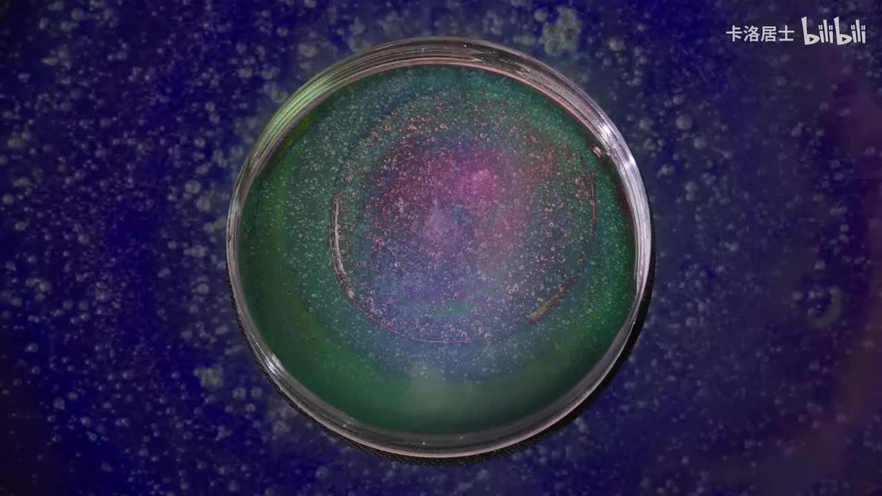 浪漫派（苏打绿版）-和声伴奏