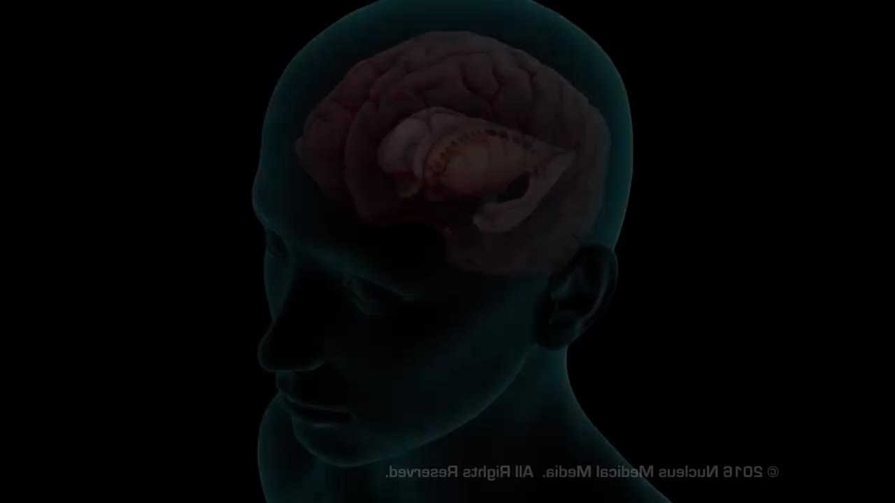 老年痴呆的原理【3D展示】