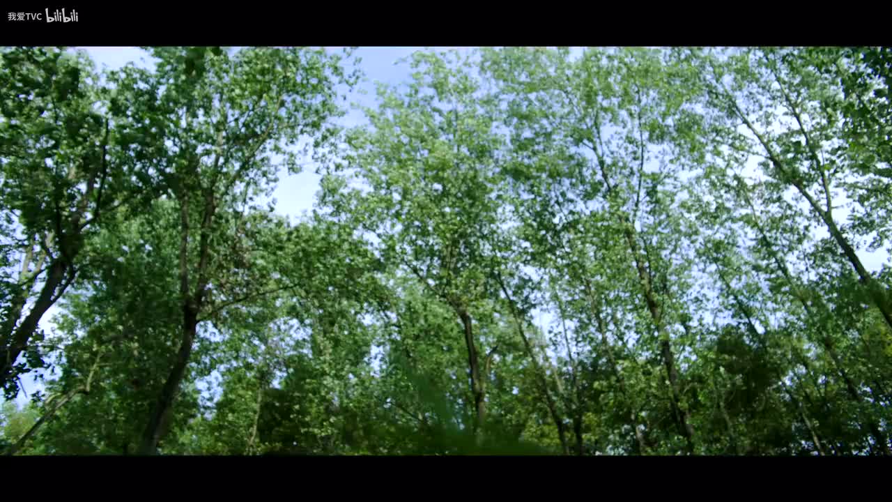 CSP-2398.大树餐厅十周年品宣 .我爱TVC