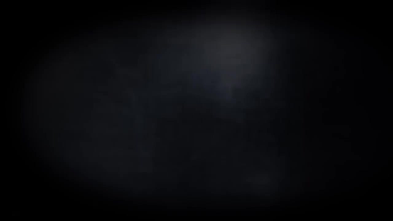 卡拉斯 斯特法诺 1955 朱利尼