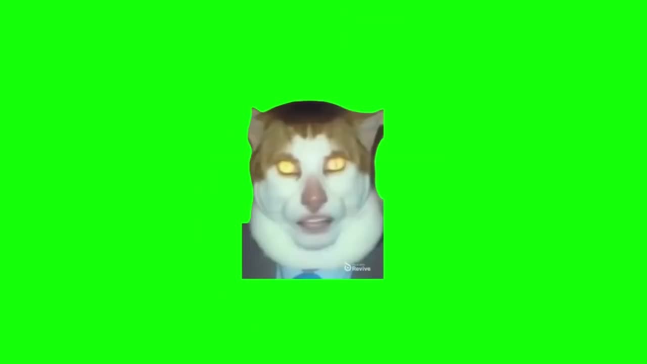 怪叫唱歌猫（有声）